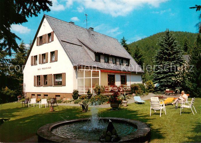 Willingen Sauerland Pension Haus Friedensruh Garten