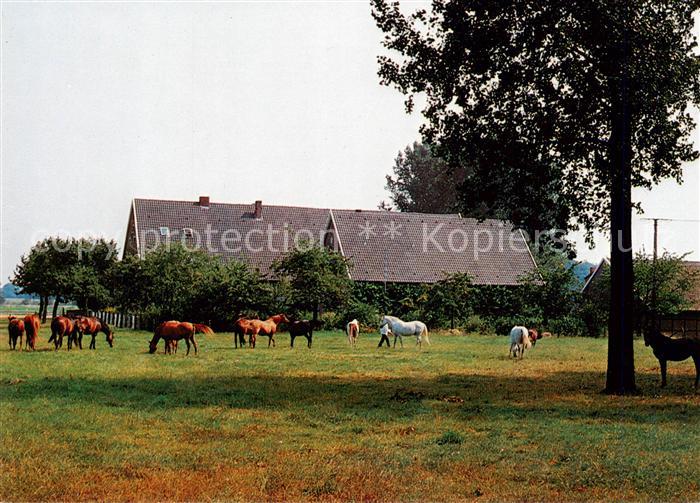 Havixbeck Urlaub auf dem Bauernhof Hof Mormann Reiterferien Reitstall
