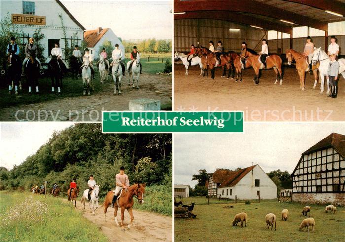 Clenze Reiterhof Seelwig Reithalle Reiter Schafe