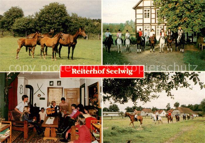 Clenze Reiterhof Seelwig Ponys Reiter Reiterstueble