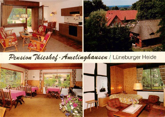 Amelinghausen Lueneburger Heide Pension Thieshof Gastraeume Zimmer