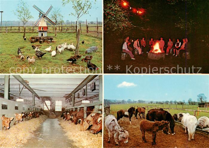 Nindorf Hohenwestedt Ketelsen Hof Muehle Lagerfeuer Kuhstall Esel und Ponys