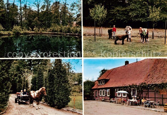 Harber Moor Urlaub auf dem Bauernhof Pension Willenbockel Ponyreiten Kutschfahrt