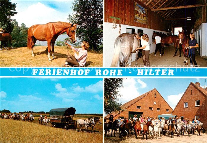 Hilter Ems Ferienhof Rohe Reitstall Planwagen Ausritt