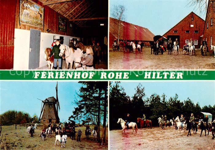 Hilter Ems Ferienhof Reiterhof Rohe Urlaub auf dem Bauernhof Ausritte Windmuehle