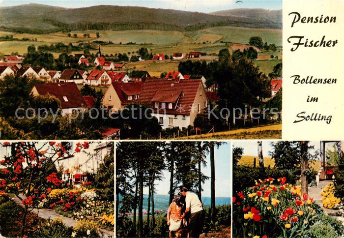 Bollensen Solling Pension Fischer Garten Panorama