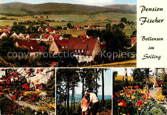 Bollensen Solling Pension Gertrud Fischer Panorama