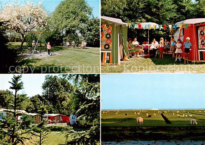 Neufeld Dithmarschen Campingplatz Zur Elbmuendung Landschaftspanorama Schafe