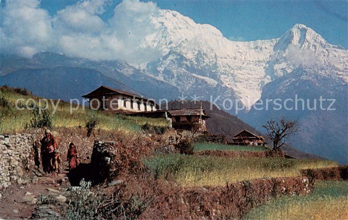 Pokhara Nepal Barley Fields and the Annapurna Range