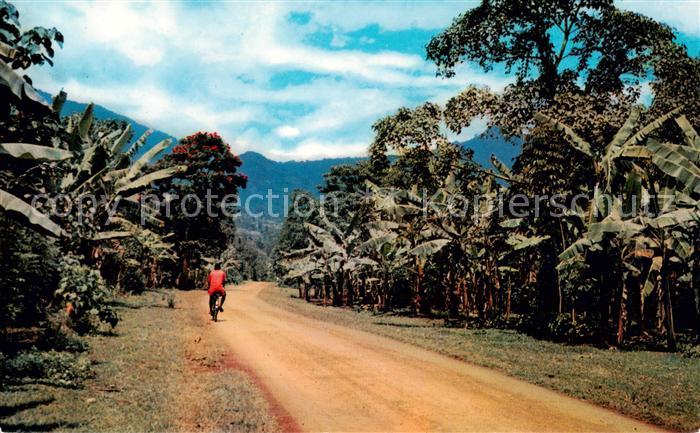 Bugisu Bulucheke-Bugisu Uganda Panorama