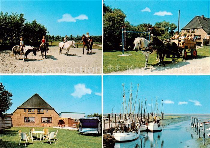 Tuemlauer Koog Bauernhof und Ferienhof Frey Ponyreiten Pferdekutsche Garten Boot