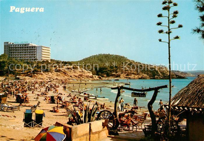 Paguera Mallorca Islas Baleares ES Playa de Tora