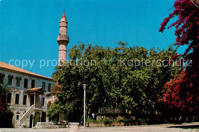 Cos Kos Greece The platane tree of Hippocrates Mosque Hatji