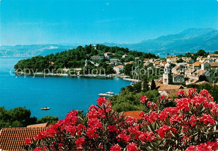 Cavtat Croatia Panorama