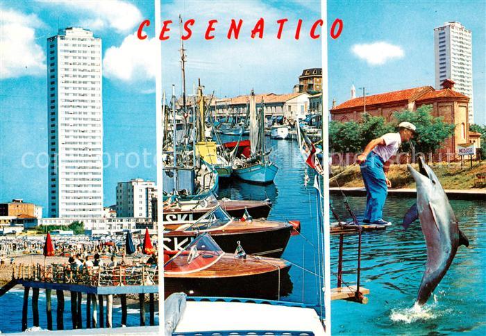 Cesenatico IT Hochhaus Bootshafen Delphinschau