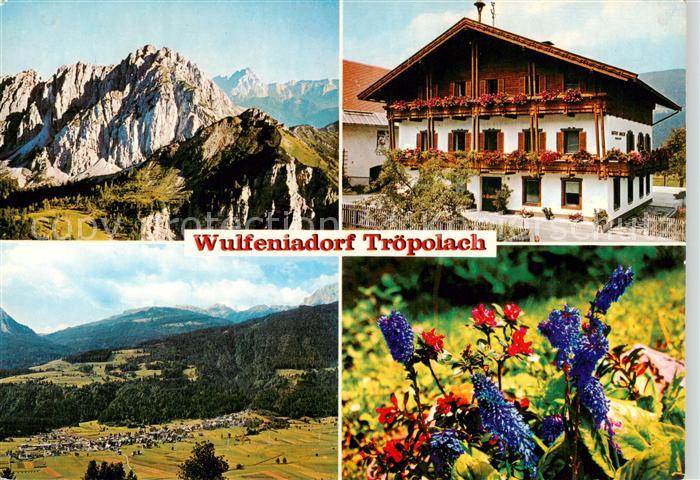 Troepolach an der Gail Kaernten AT Gasthof Winkler Panorama Alpenflora