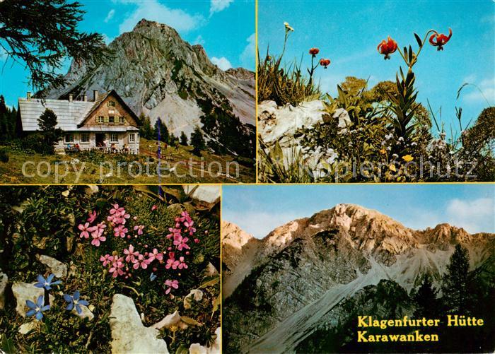 Klagenfurter Huette 1663m Kaernten mit Karawanken und Alpenflora