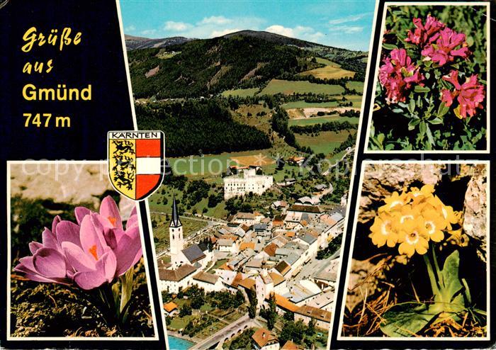 Gmuend Kaernten Fliegeraufnahme Alpenflora