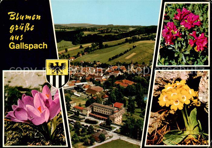 Gallspach AT Kurort im Alpenvorland Institut Zeileis Kurpark Luftbild Alpenflora