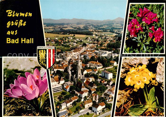 Bad Hall Solbad Hall AT Panorama Weltkurort Luftbild Alpenflora
