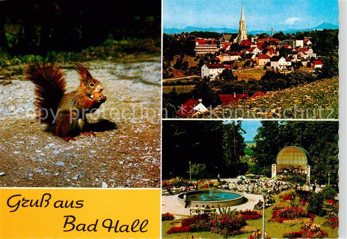 Bad Hall Solbad Hall AT Musikpavillon im Kurpark Eichhoernchen Ansicht mit Kirch