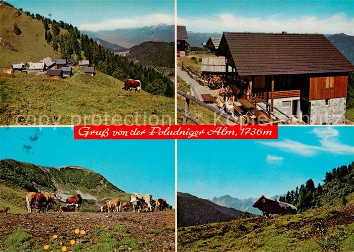 Hermagor Kaernten AT Jausenstation Poludniger Alm Almvieh Fernsicht Alpen