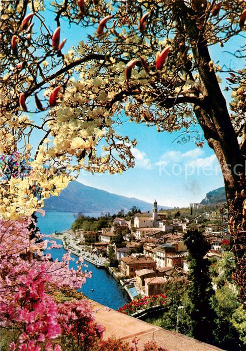 Limone sul Garda IT Primavera Fruehling Panorama