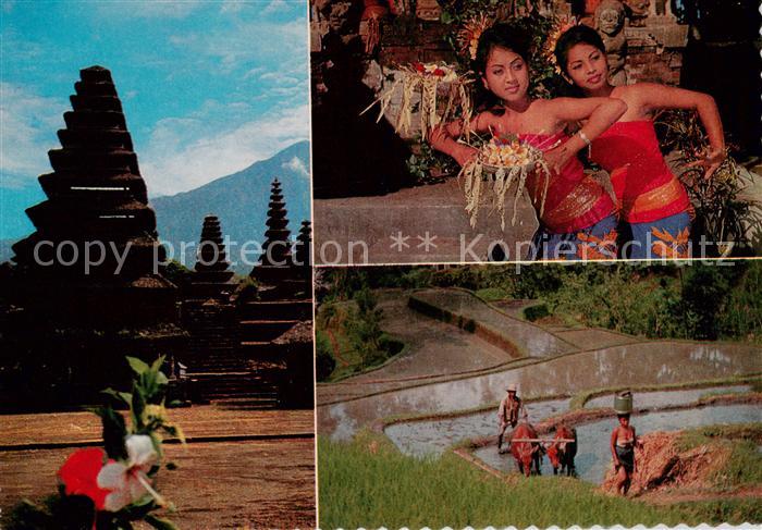 Bali  Indonesia Tempel Taenzerinnen Ochsenkarren