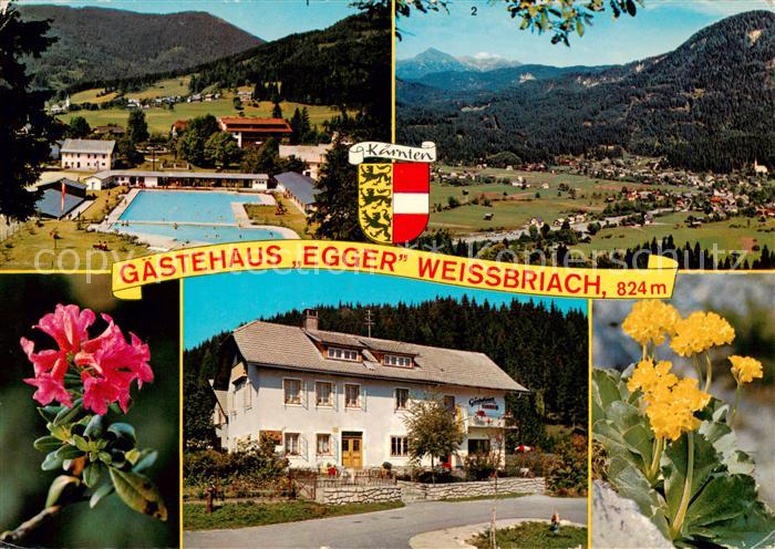 Weissbriach Gitschtal Kaernten AT Gaestehaus Egger Schwimmbad Panorama Alpenflor