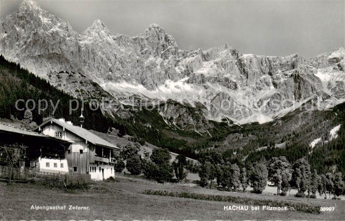Hachau Filzmoos AT Alpengasthof Zeferer Alpen