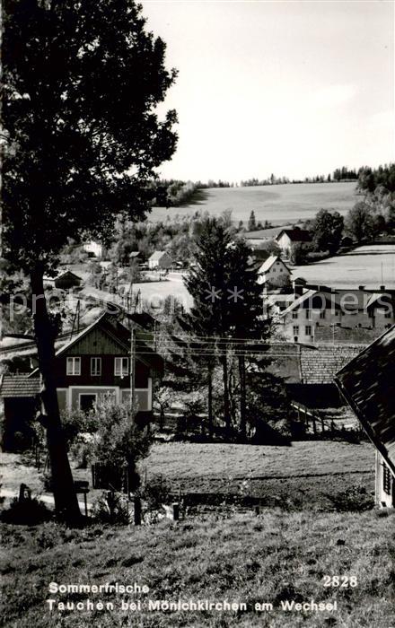 Tauchen Moenichkirchen Niederoesterreich AT Sommerfrische Teilansicht