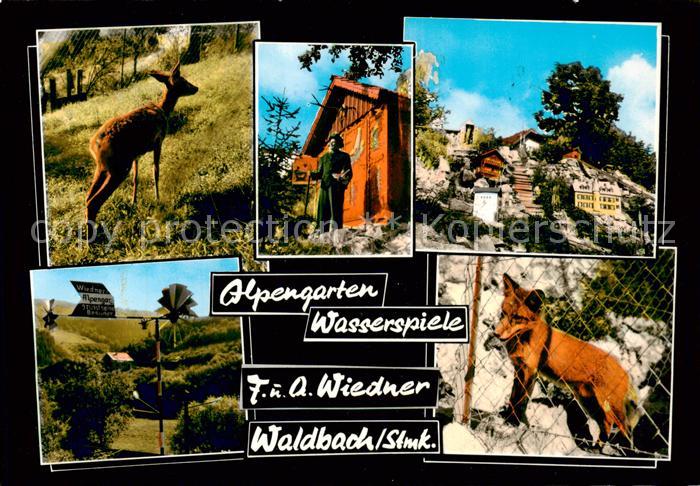 Waldbach Steiermark AT Alpengarten Wasserspiele Tiergehege