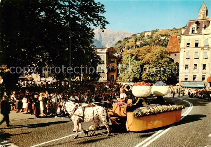 Meran Merano IT Erntefest Pferdewagen Festa dell uva