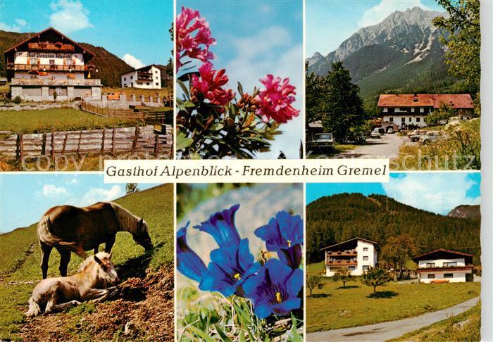 Aschland Obsteig Tirol AT Gasthof Alpenblick Fremdenheim Gremel Alpenflora Hafli