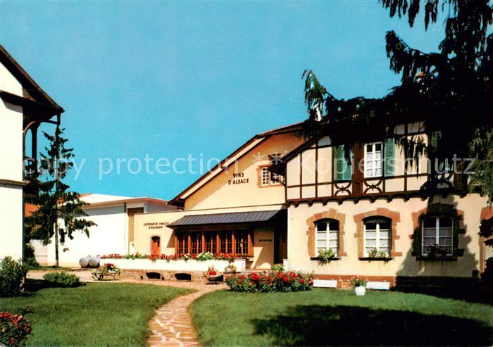 Eguisheim Egisheim 68 Haut Rhin Cooperative Vinicole Vins d Alsace