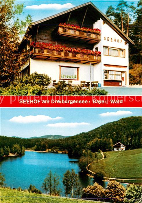 Rothau Dreiburgensee Restaurant Seehof am Dreiburgensee Panorama