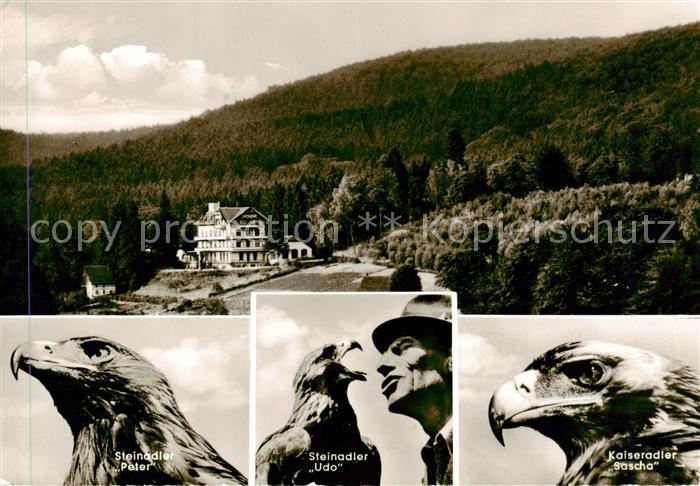 Berlebeck Detmold Lippe NRW Johannaberg Steinadlr Peter Steinadler Udo Kaiserad