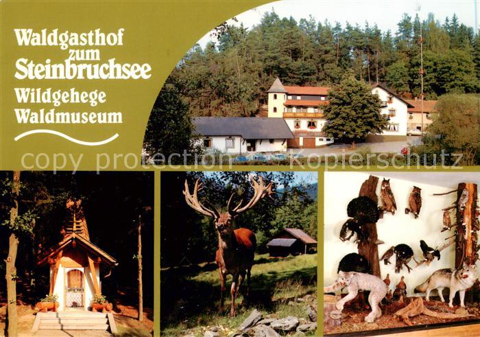 Furth Wald Waldgasthof zum Steinbruchsee Waldmuseum Wildgehege