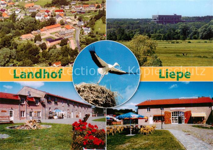 Liepe Eberswalde Landhof Liepe Panorama Terrasse Storchennest