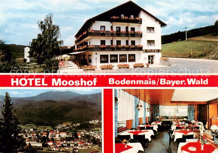 Bodenmais Hotel Mooshof Panorma Gastraum