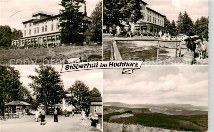 Stoeberhai Wieda Harz Berghotel StÃ¶berhai Panorama