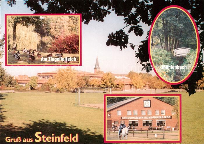 Steinfeld  Oldenburg Am Ziegelleiteich Muehlenbach Erholungszentrum Dammer Berge