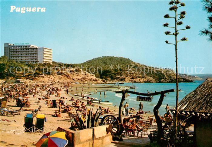 Paguera Mallorca Islas Baleares ES Playa de Tora
