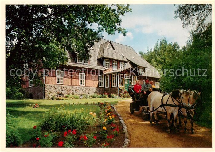 Niederhaverbeck Bispingen Pension Haus Heidetal Pferdekutsche