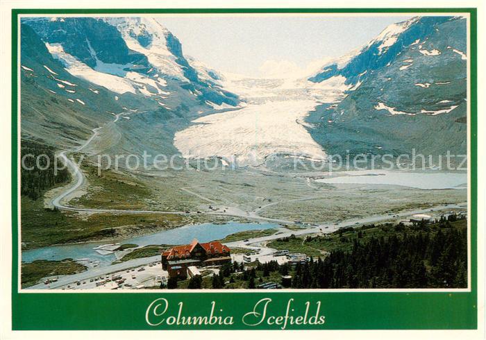 Gletscher Columbia Icefields Banff Jasper Highway