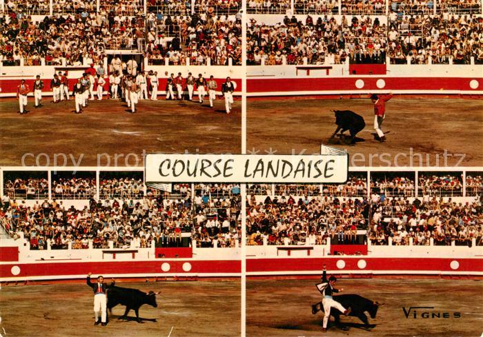 Stierkampf Corrida de Toros Bullfight Course Landaise Vignes