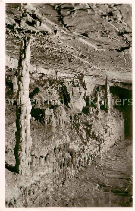 Hasel BW Erdmannshoehle Palmenstaemme