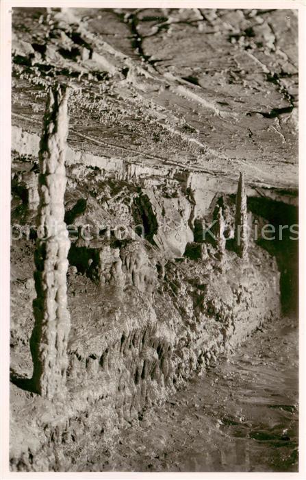 Hasel BW Erdmannshoehle Palmenstaemme