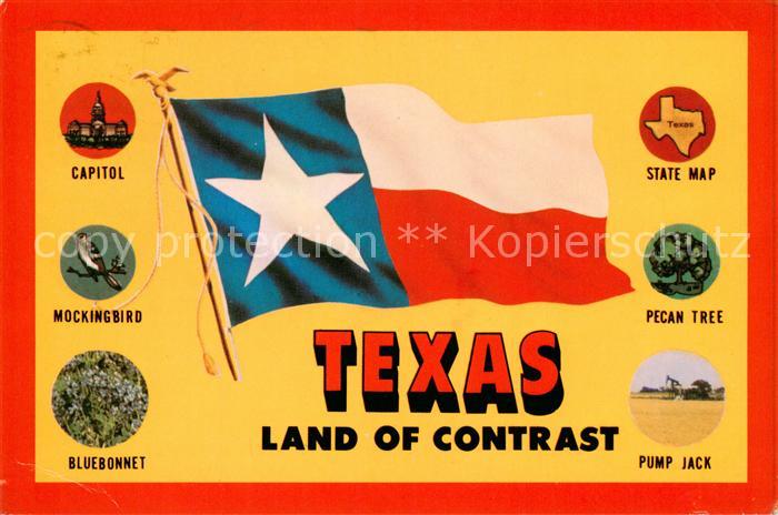 Texas US-State Capitol Mockingbird Bluebonnet State Map Pecan Tree Pump Jack