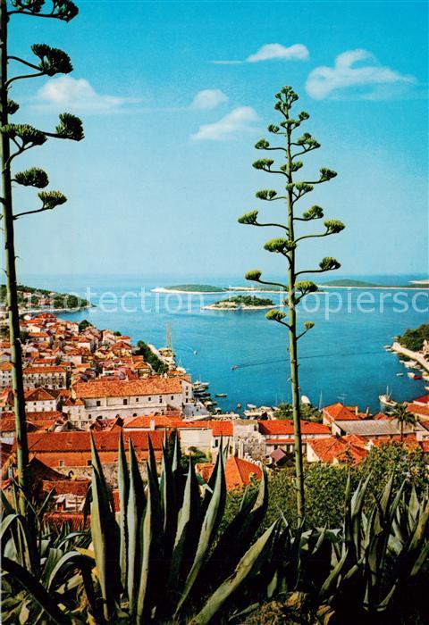 Hvar Croatia Panorama